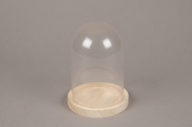 A112PM Glass dome with wooden tray D12cm H16cm