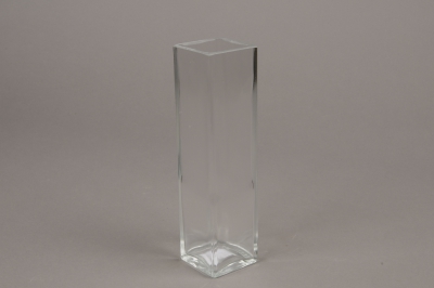 Square Glass Vase 5 5cm X 5 5cm H21cm