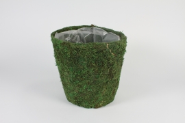 A182MZ Moss pot D31cm H30cm