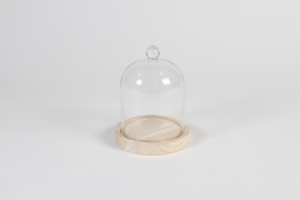 A184PM Cloche en verre avec plateau bois D12cm H15cm