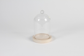 A185PM Cloche en verre avec plateau bois D12cm H18cm