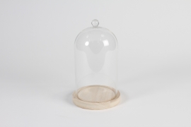 A186PM Cloche en verre avec plateau bois D13.5cm H23cm