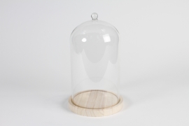 A187PM <br />
Glass dome with wooden tray D17cm H28cm