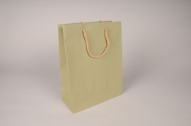 A266IV Bag of 12 green kraft bags 22x10cm H29cm