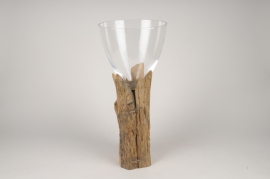 A481UO Glass vase with wooden stand D23 H56cm