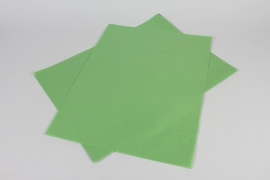 A573QX Paquet de 240 feuilles papier de soie vert 50x75cm