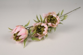 a696nn Pink artificial protea H70cm