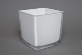 A730IH Glass cube vase white 14x14x14cm