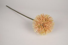 a846nn Orange artificial allium H70cm