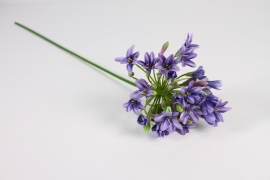 a951nn Purple artificial apaganthus H77cm