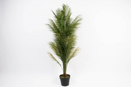 a956nn Areca artificiel vert H140cm