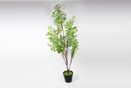 a957nn Green artificial schefflera H190cm