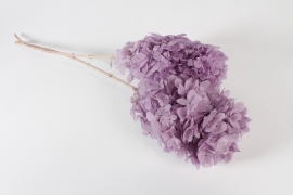 AB-000267 Lilac preserved hydrangea H75cm