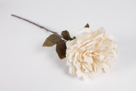 AM-000240 Cream artificial peony H68cm