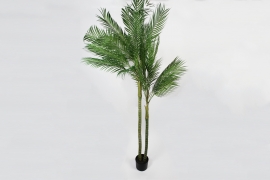 DI-000143 Artificial palm trees H210cm