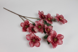 DI-000319 Dark pink artificial hellebore H93cm