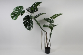 DI-000338 Green artificial philodendron H165cm