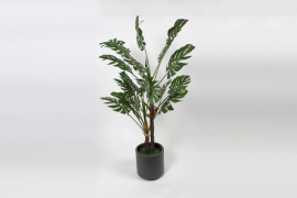 DI-000350  Artificial monstera pot H110cm