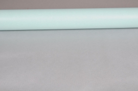 A044R7 Double sided kraft paper roll blue / silver 80cm x 40m