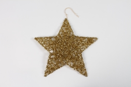 DQ-000551 Gold star decoration to hang D25cm