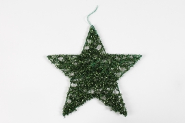 DQ-000552 Green star decoration to hang D25cm