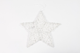 DQ-000553 White star decoration to hang D25cm