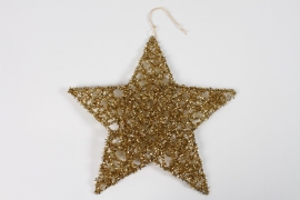 DQ-000555 Gold star decoration to hang D40cm