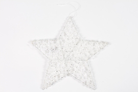 DQ-000557 White star decoration to hang D40cm