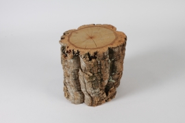 EC-000150 Piece of natural cork trunk D20cm H20cm