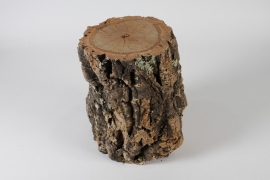 EC-000151 Piece of natural cork trunk D20cm H30cm