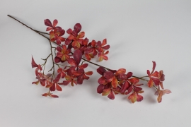 EE-000298 Burgundy artificial tropaeolum H110cm