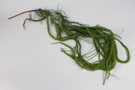 EE-000302 Green artificial amaranth L150cm