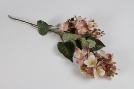 EE-000304 Hydrangea artificiel rose et crème H75cm