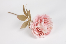 EE-000305 Light pink artificial peony H75cm