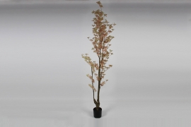 EE-000312 Arbre artificiel orange clair H185cm