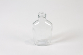 JO-000022 Clear glass bottle vase 8x3cm H15cm