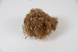 LW-000144 Gold dried curly moss 