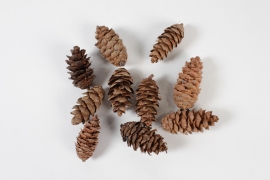 LW-000147 Natural douglas pine cones 1kg