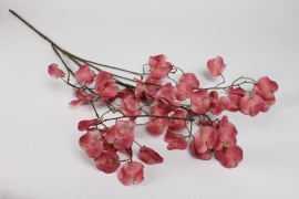 NN-000474 Dark pink artificial lunaria H136cm