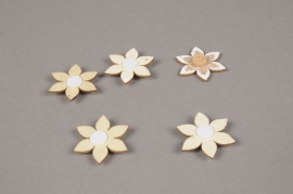 A847GM Pack of 6 wooden flowers stickers D3.5cm