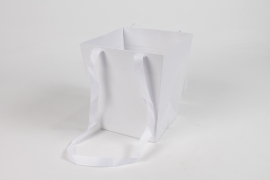 QX-000458 Pack of 10 white cardboard bags 16x16cm H18cm