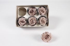 V2-000069 Box of 6 hazelnut brown preserved roses