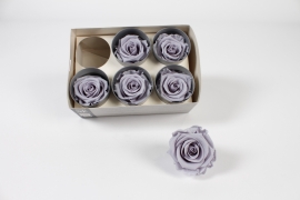 V2-000070 Boîte de 6 roses stabilisées gris mauve