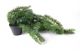 VB-000121 Green artificial lycopodium L70cm