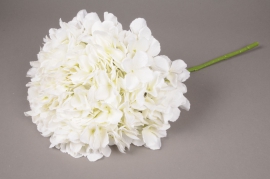 x031jp White artificial hydrangea H45cm