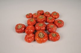 x128lw Mini citrouilles séchées naturelles 250g