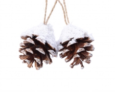 X182KI Set of 2 snowed pinecones H6cm