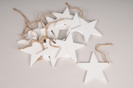 X190U7 Set of 10 white wooden stars D15cm