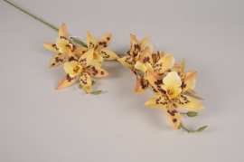 x204el Yellow artificial dendrobium H84cm