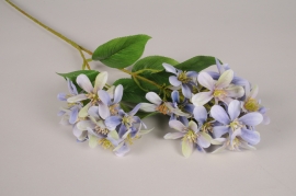 x387am Lilas artificiel bleu H71cm